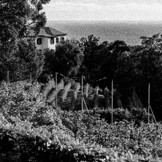 Madeira Wine Company